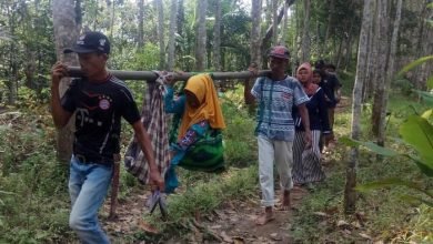 Photo of Cerita Warga Berjibaku Tandu Ibu Hamil Lewati Hutan Pandeglang
