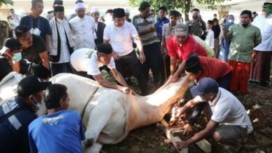 Photo of Pj Gubernur Al Muktabar: Daging Kurban Untuk Keluarga Dengan Stunting dan Gizi Buruk